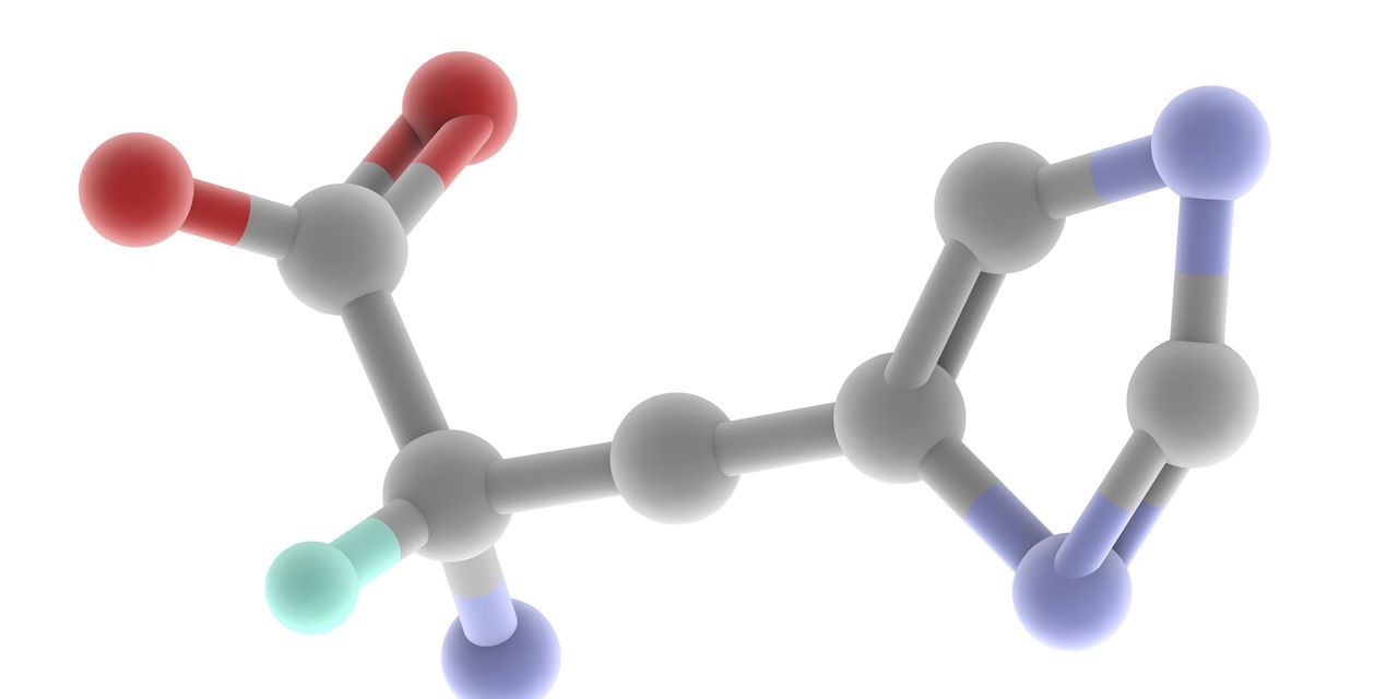 Amino acids: the building blocks of life