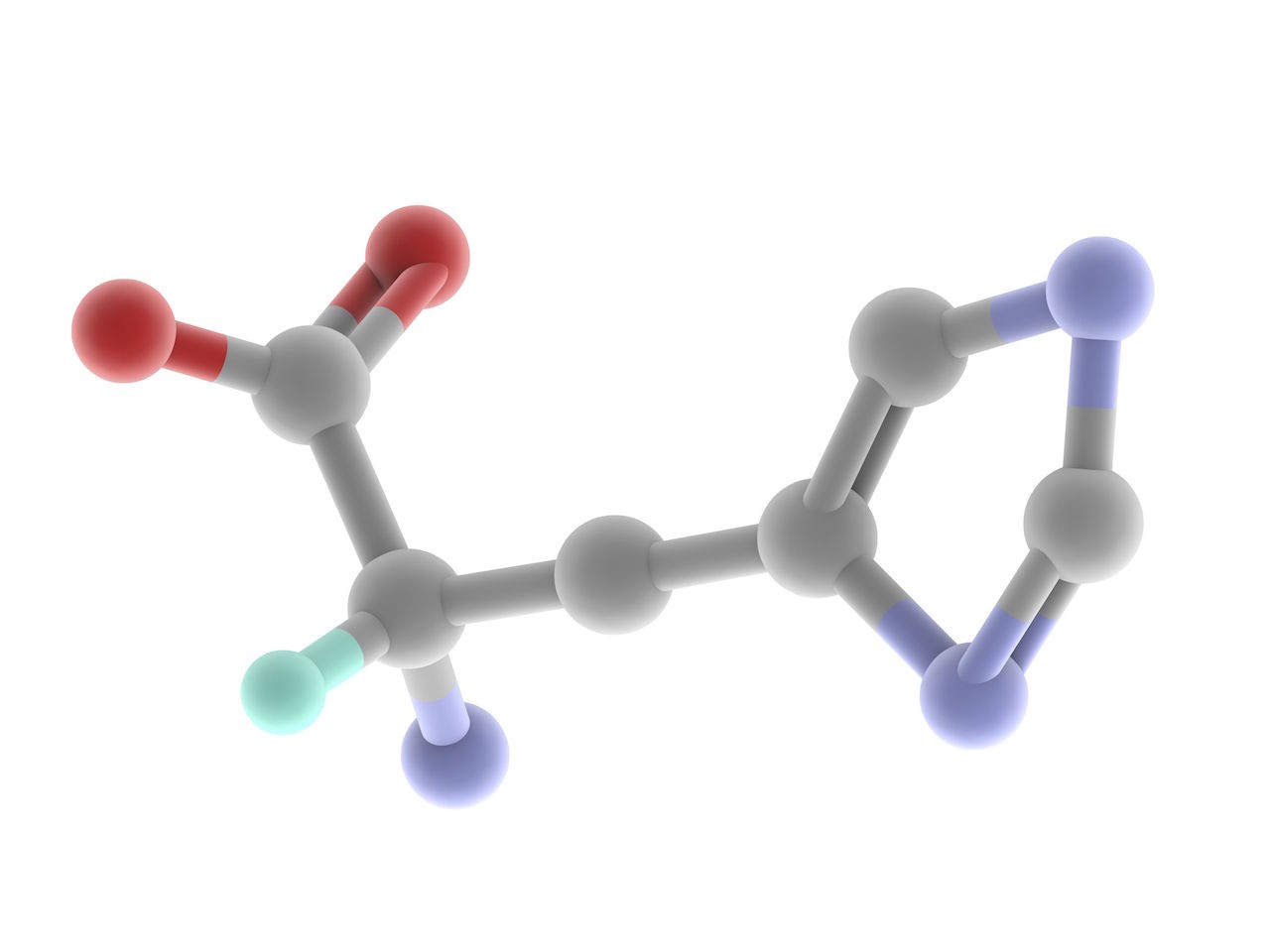 Amino acids: the building blocks of life